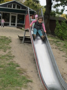 IMG_4264              